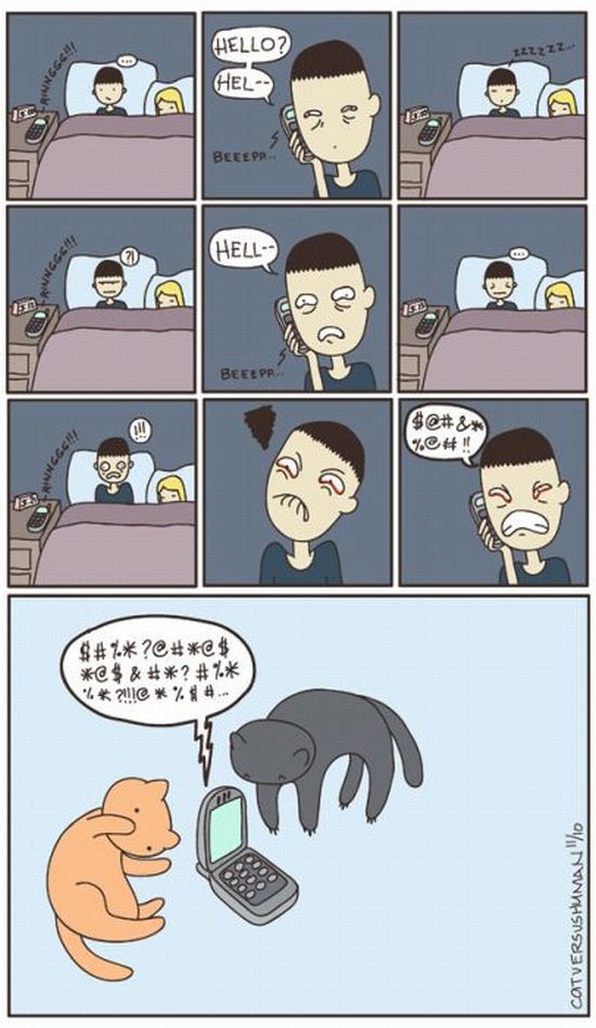 cats-c