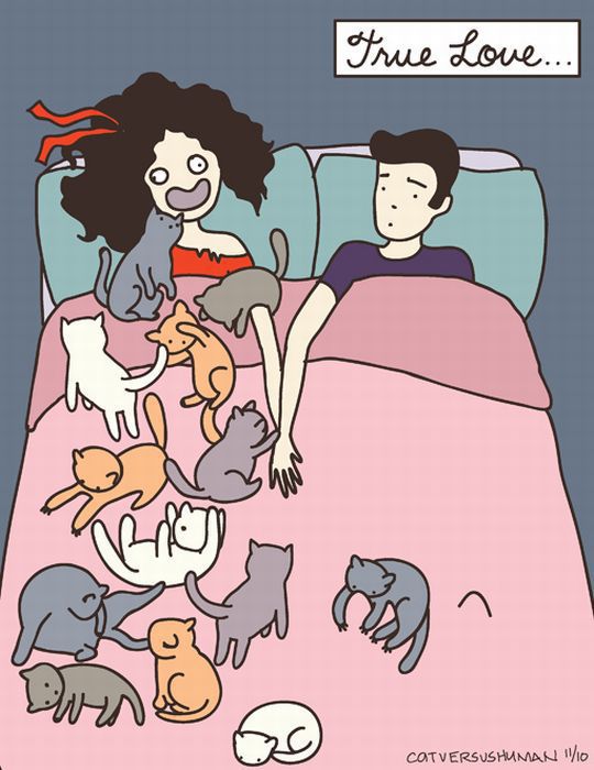 cats-c