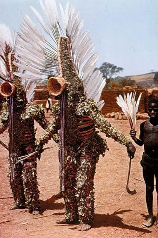 cultures