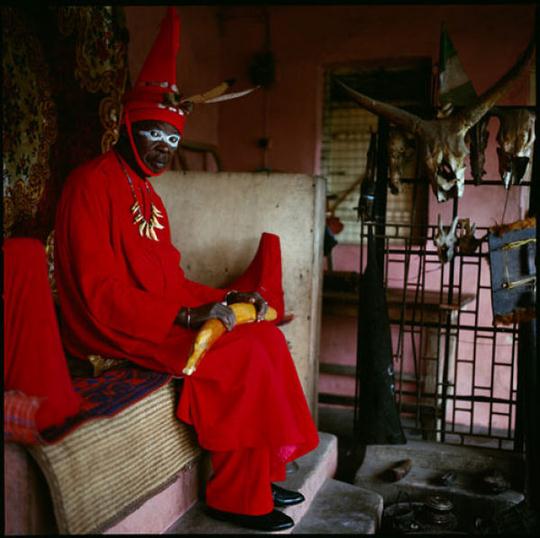 cultures