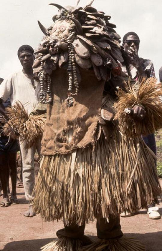 cultures