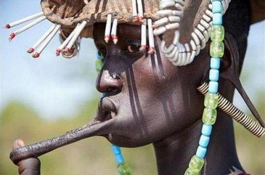 cultures