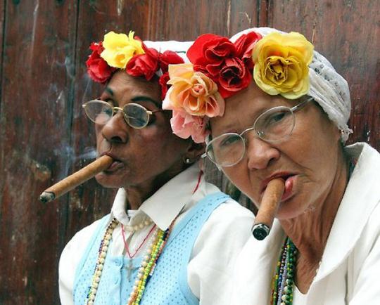 cultures