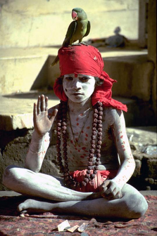 cultures