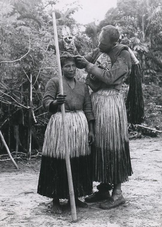 cultures