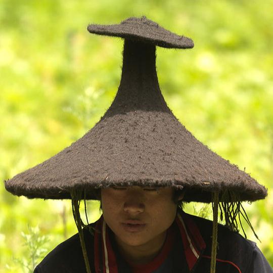 cultures