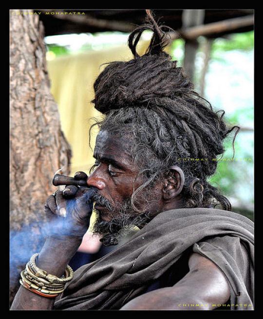 cultures
