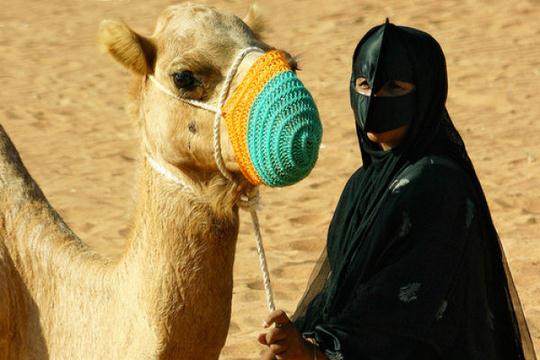 cultures