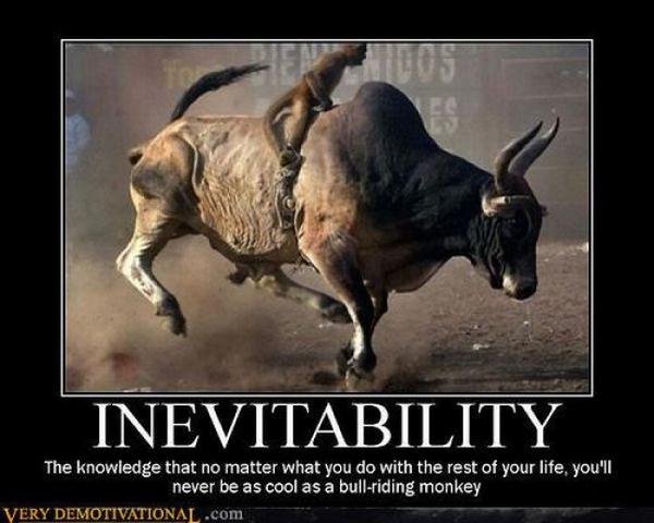 demotivator4