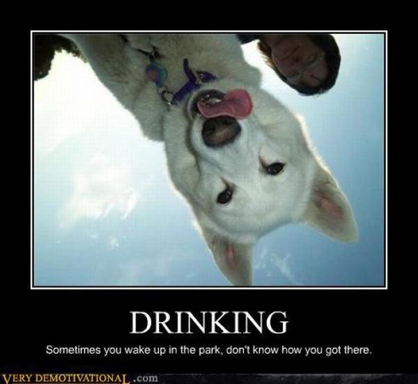 demotivator4