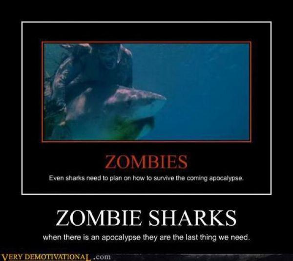 demotivator4