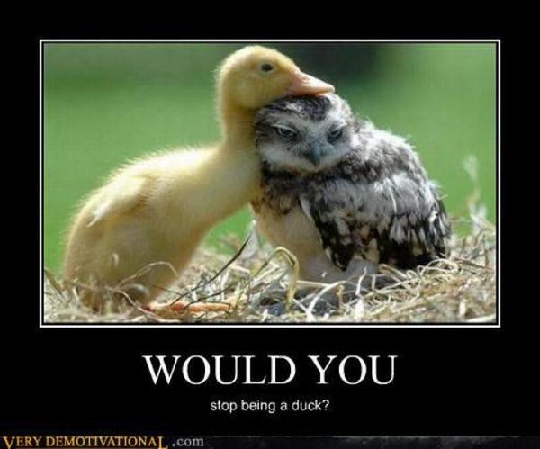 demotivator4
