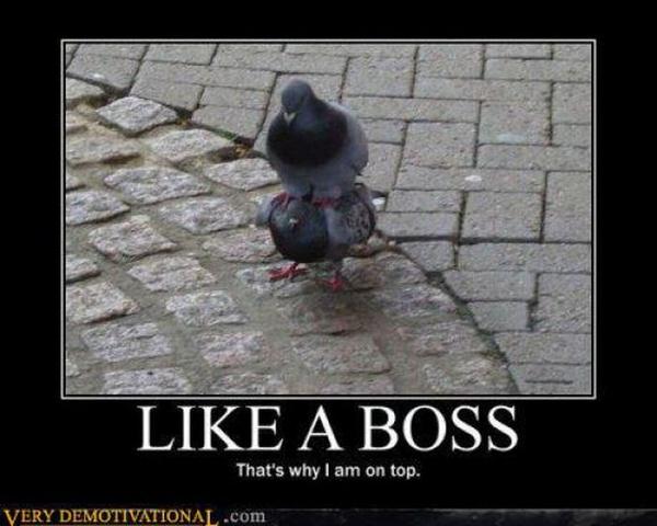 demotivator4