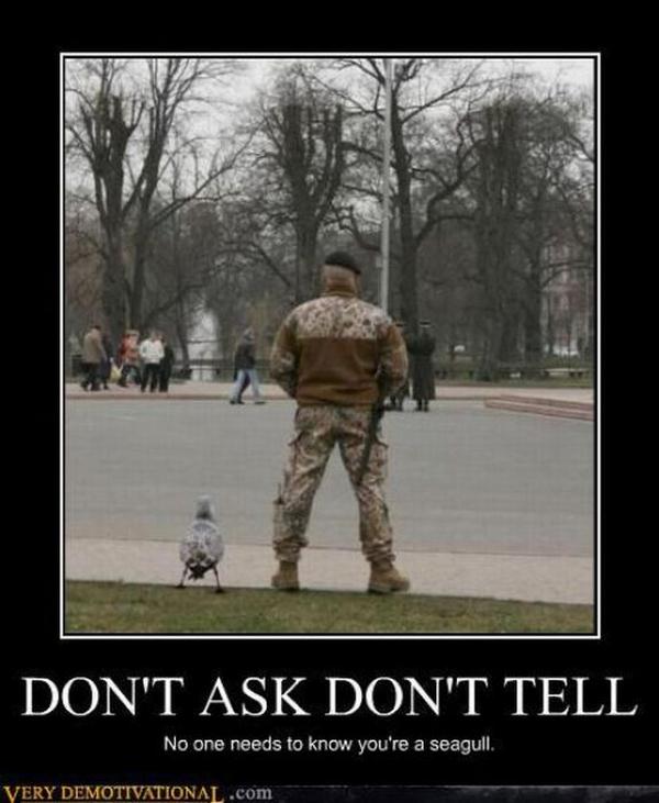 demotivator4