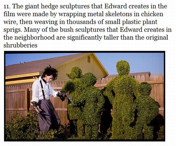 edward