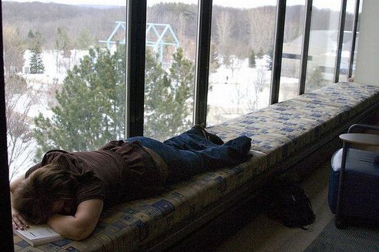 library-sleep
