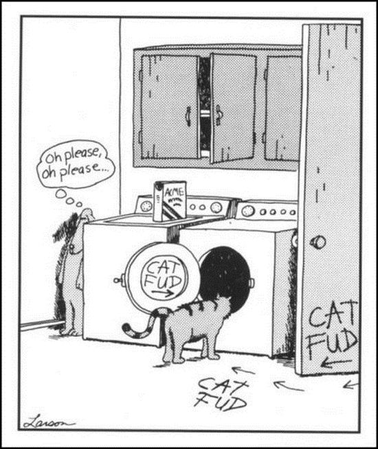 cartoon