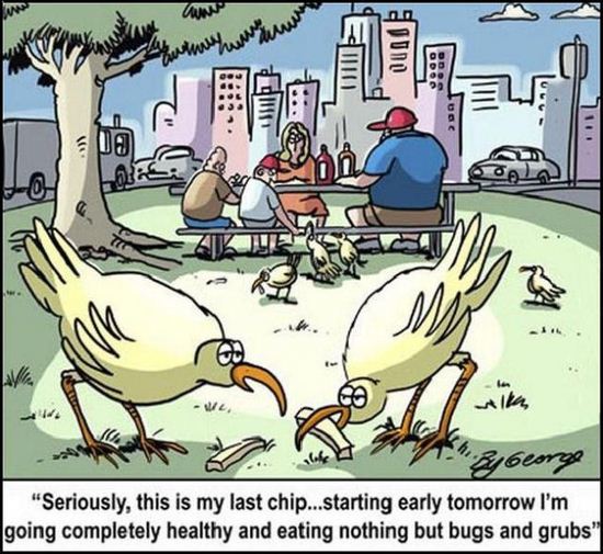 cartoon