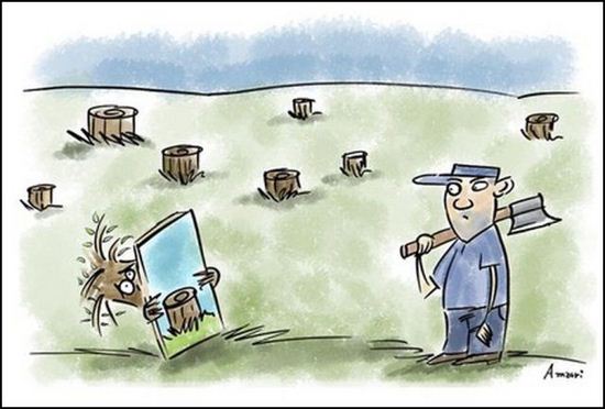 cartoon