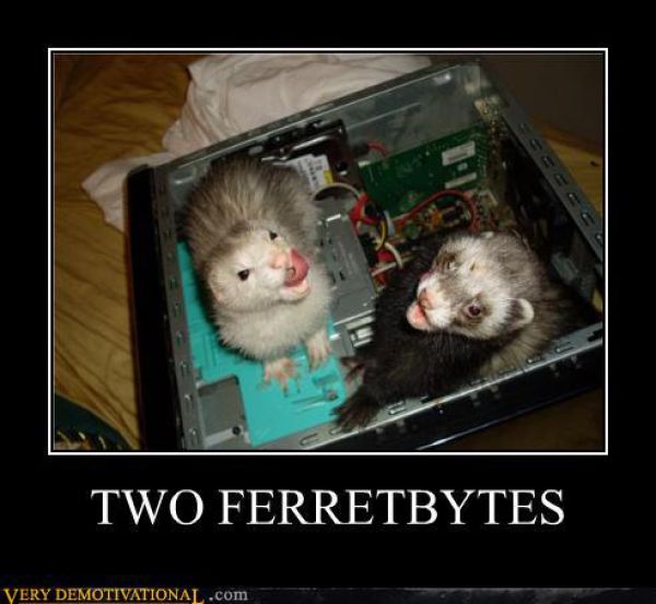 demotivators5