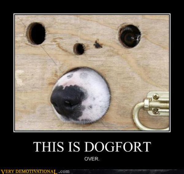 demotivators5