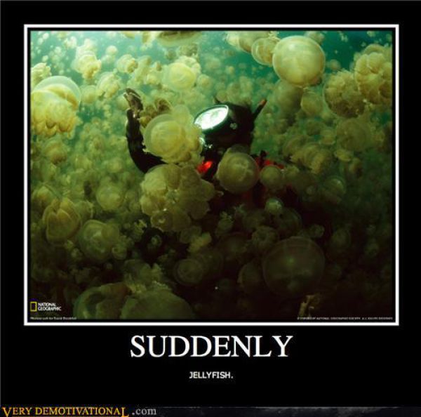 demotivators5