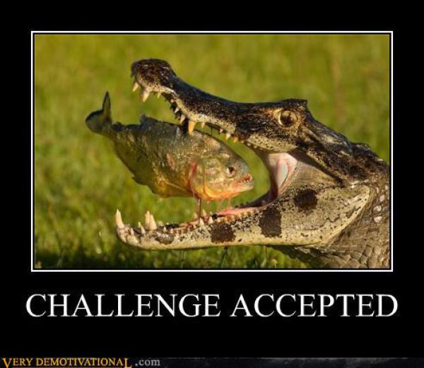 demotivators5