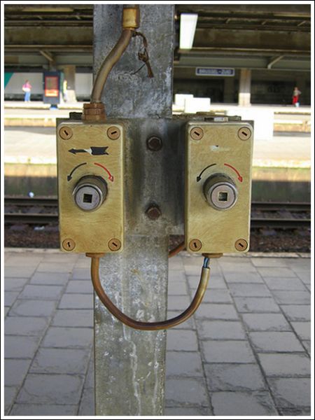 faces