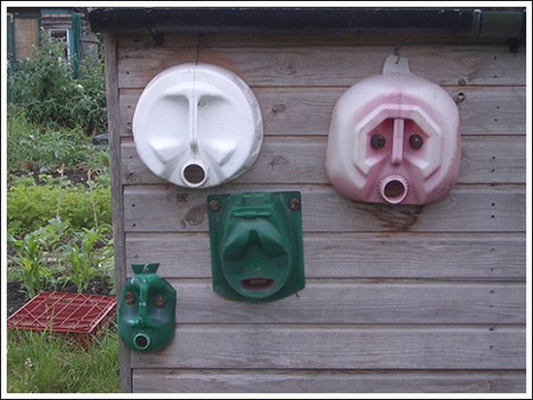 faces