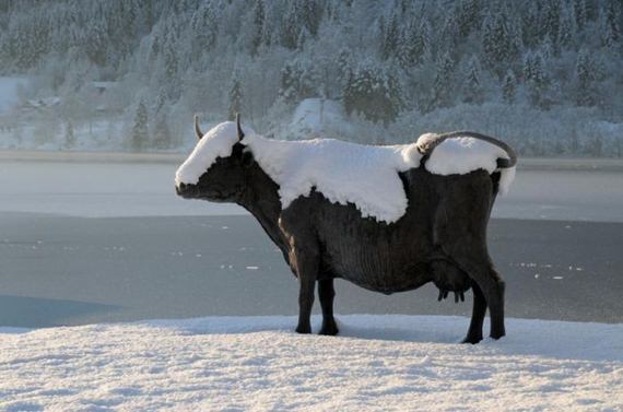 f68