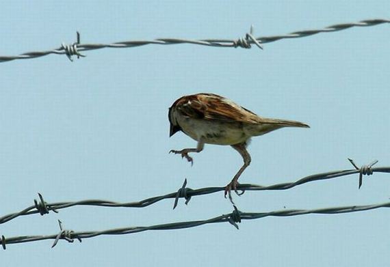 m316