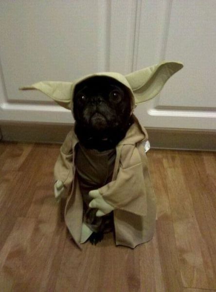 b257
