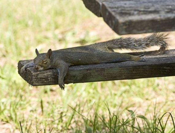 b335