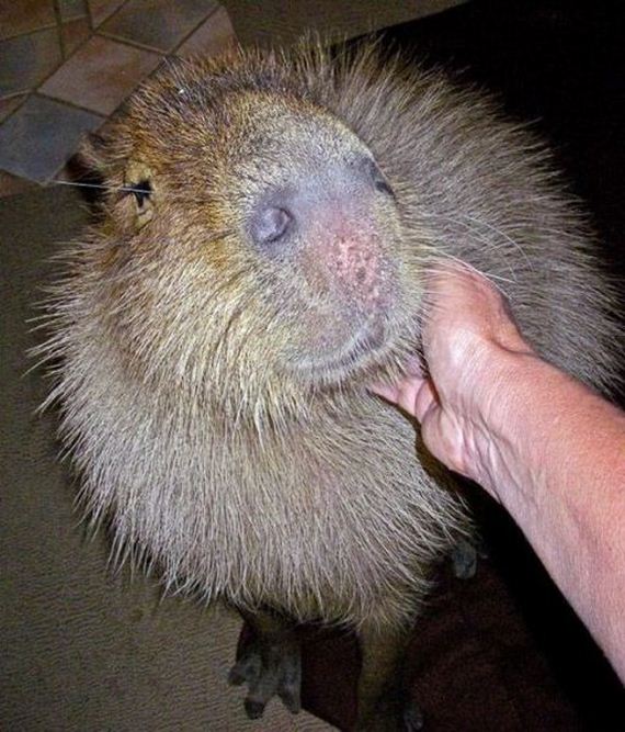 b629