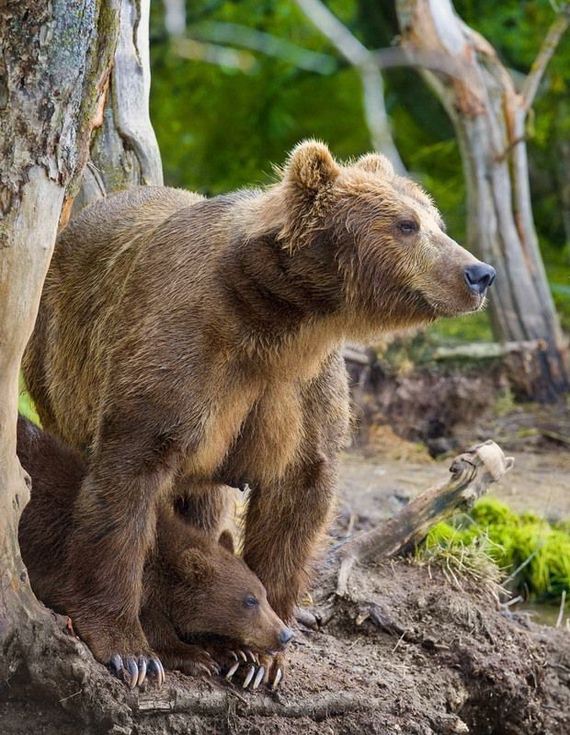 b787
