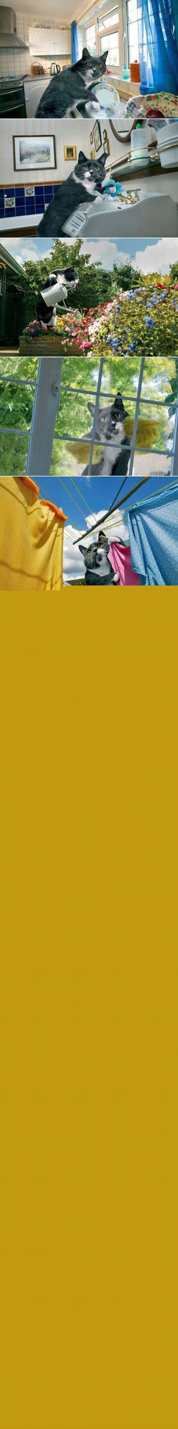 b91