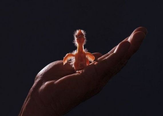 B271