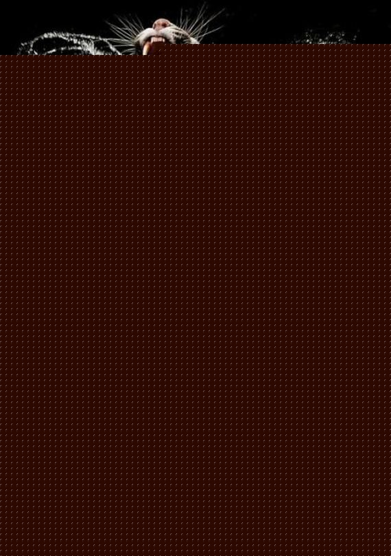 B282