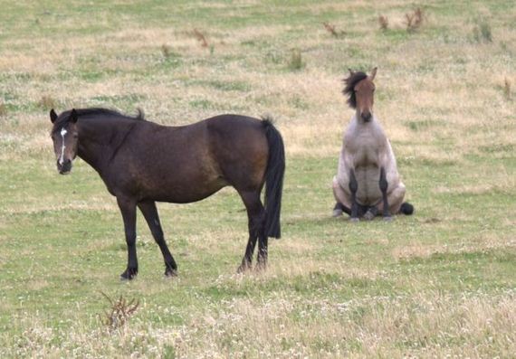 B433