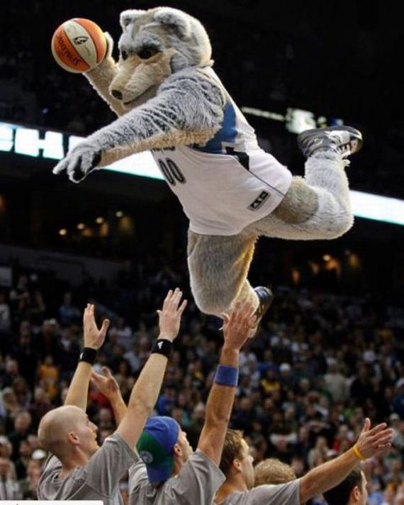 B860