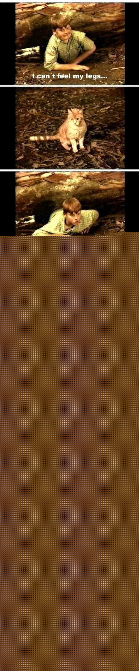 B958