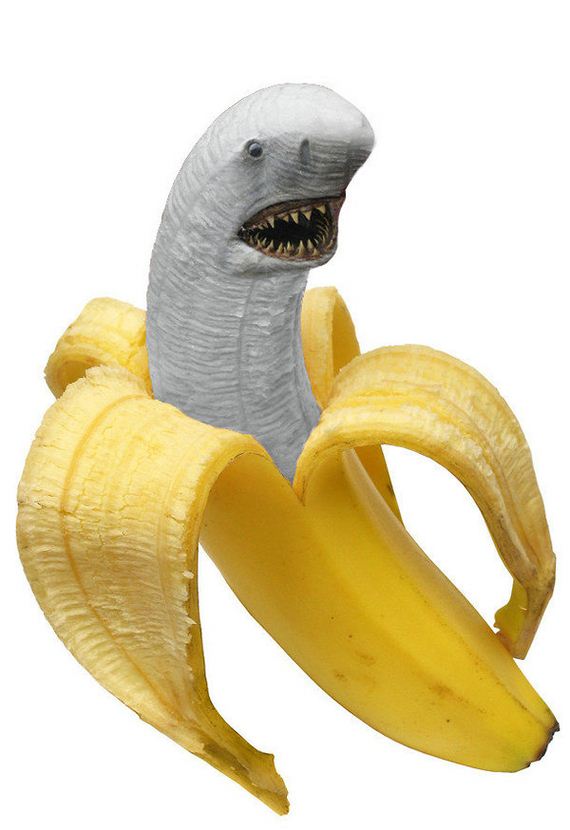 b1238