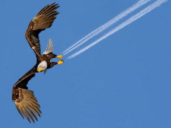 b79