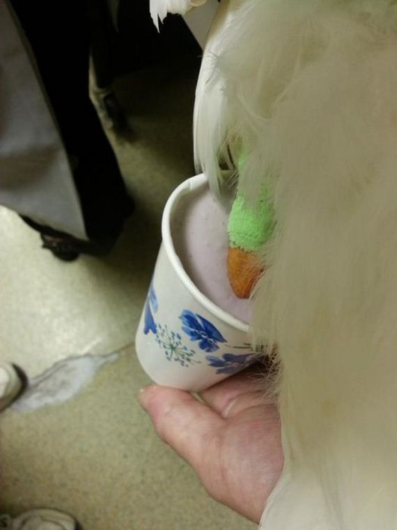 3_d_printed_prosthetic_foot