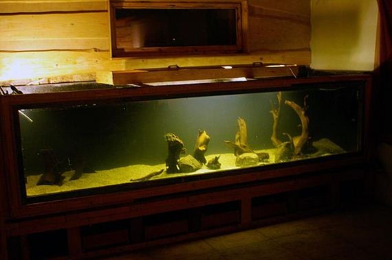 660_gallons_aquarium