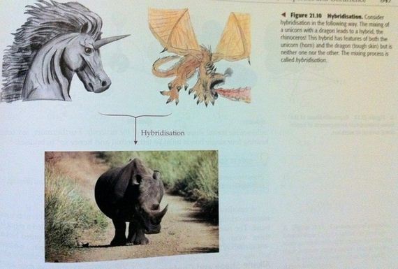 Absurd-Textbook-Illustrations-That-Make-Learning-Fun
