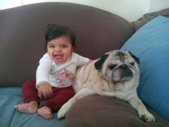 Animal-Pictures-You-Need