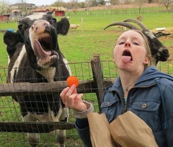 Animal-Tongues-That-Are-Control