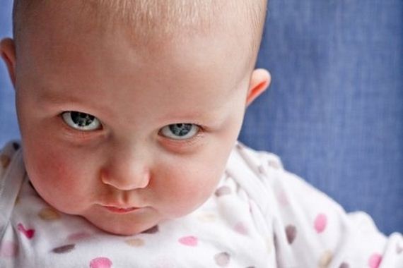 Babies-Totally-Living-Hip-Hop-Lyrics