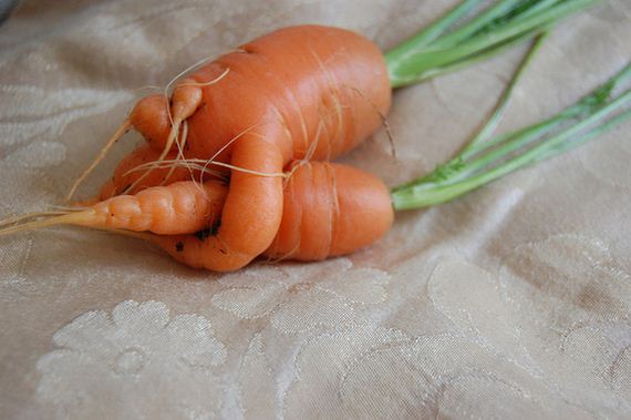 Best-Carrot-Hugs